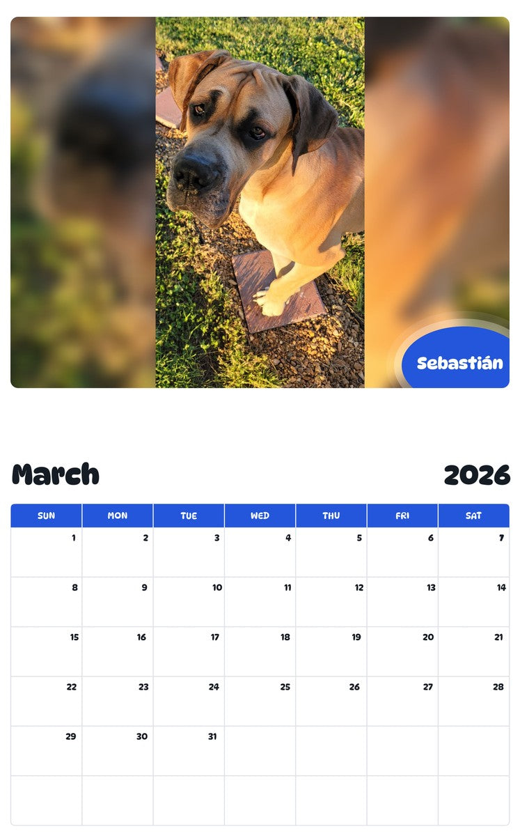 November 2025 - October 2026 Sebastián - Pawidols Pet Calendar