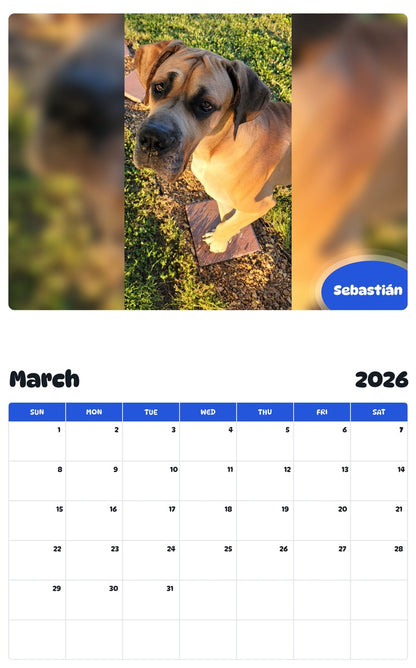 November 2025 - October 2026 Sebastián - Pawidols Pet Calendar