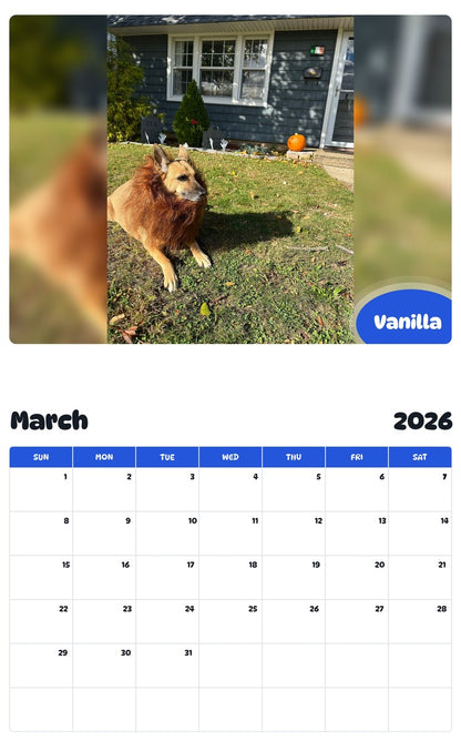 November 2025 - October 2026 Vanilla - Pawidols Pet Calendar