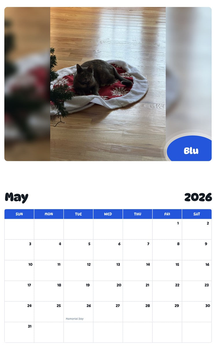 2026 - 2027 Blu - Pawidols Pet Calendar