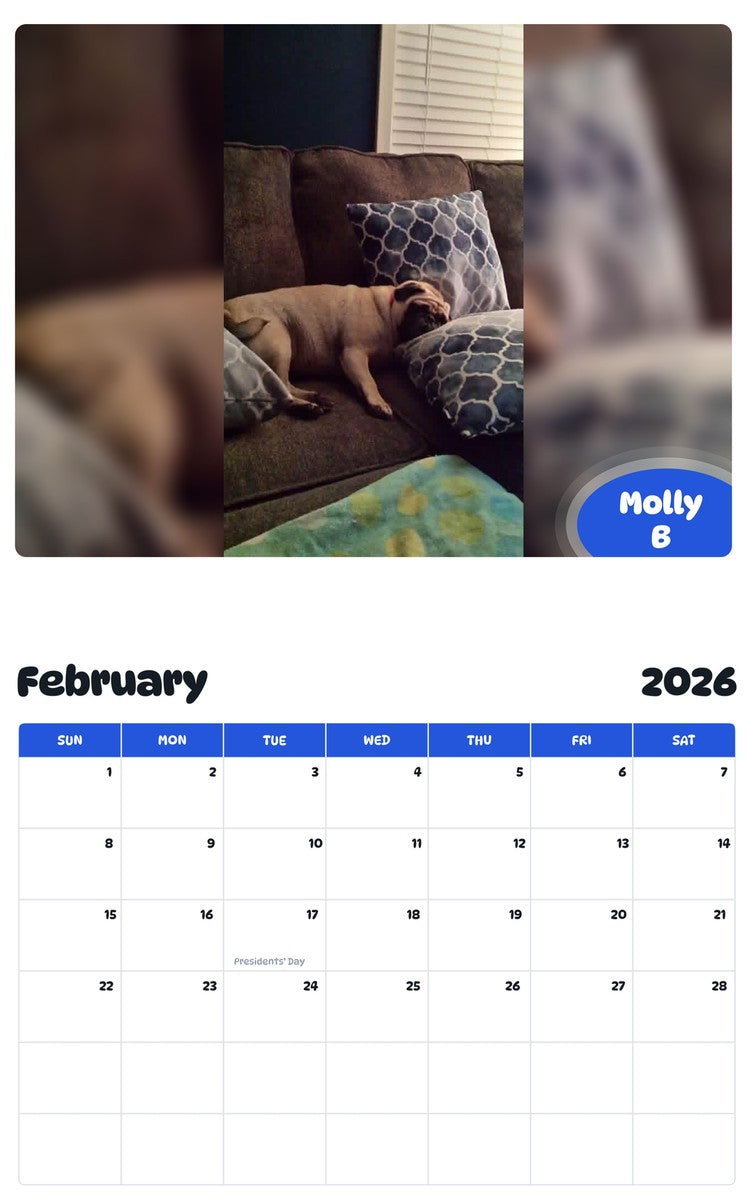October 2025 - September 2026 Molly B - Pawidols Pet Calendar