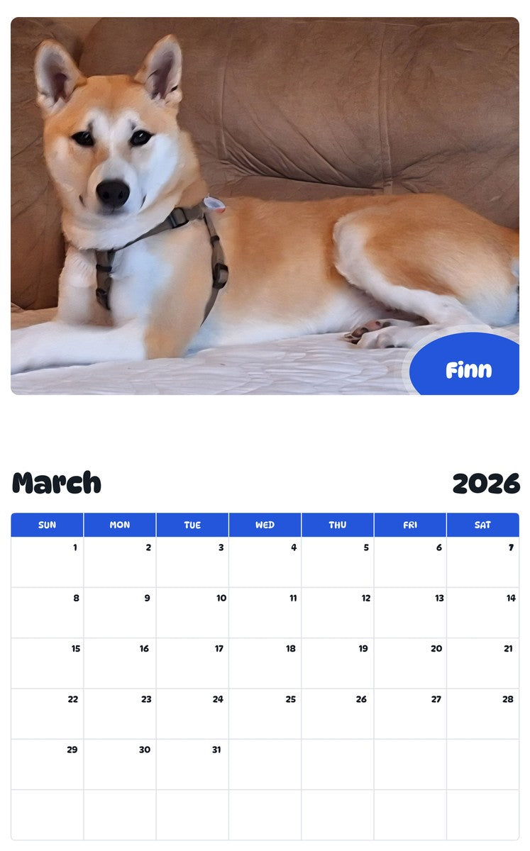 November 2025 - October 2026 Finn - Pawidols Pet Calendar