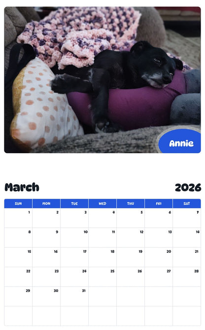November 2025 - October 2026 Annie - Pawidols Pet Calendar
