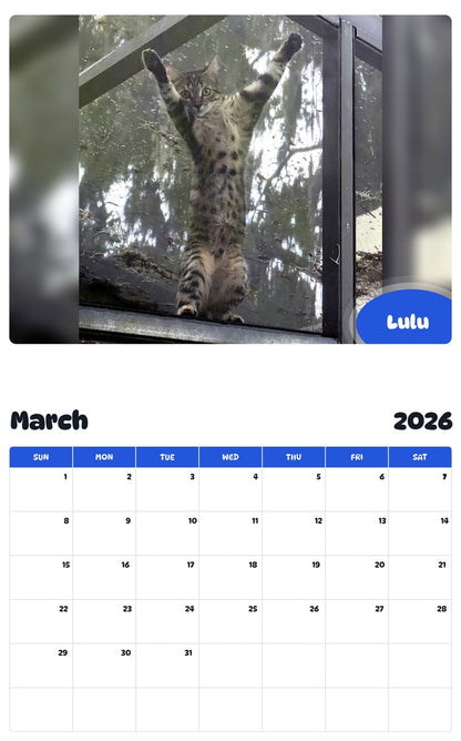 November 2025 - October 2026 Lulu - Pawidols Pet Calendar
