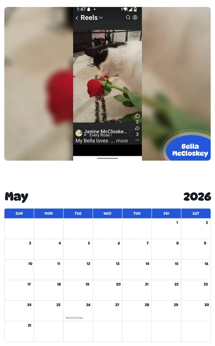 2026 - 2027 Bella McCloskey - Pawidols Pet Calendar