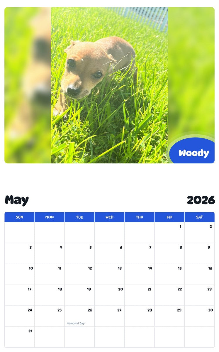 2026 - 2027 Woody - Pawidols Pet Calendar