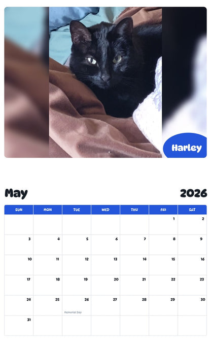 2026 - 2027 Harley - Pawidols Pet Calendar