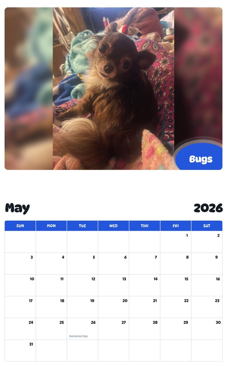2026 - 2027 Bugs - Pawidols Pet Calendar