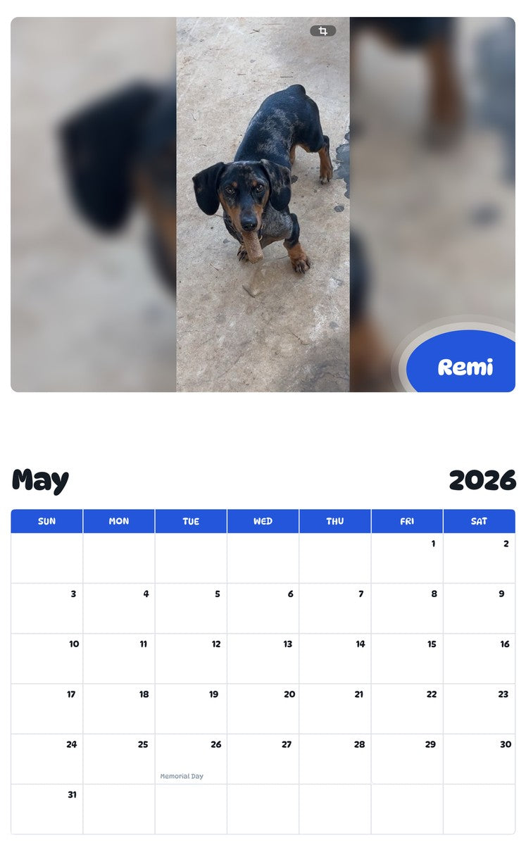2026 - 2027 Remi - Pawidols Pet Calendar