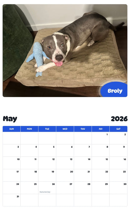 2026 - 2027 Broly - Pawidols Pet Calendar