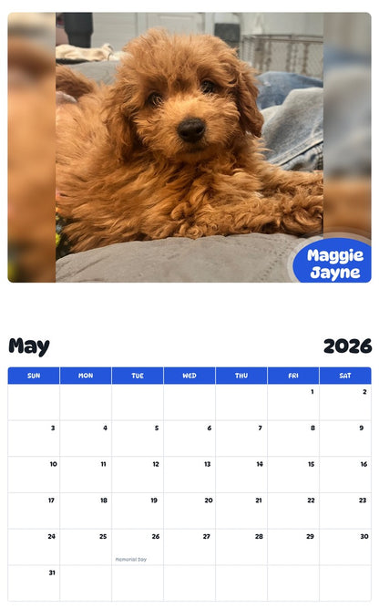2026 - 2027 Maggie Jayne - Pawidols Pet Calendar