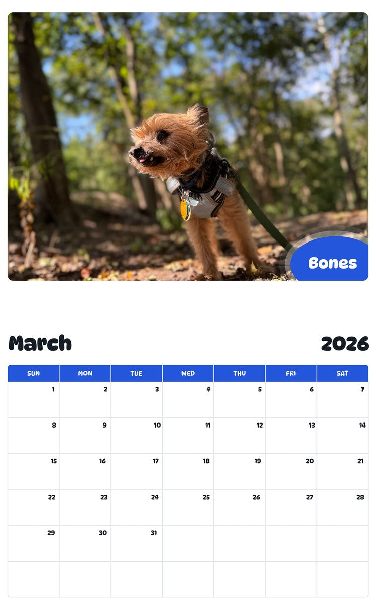 November 2025 - October 2026 Bones - Pawidols Pet Calendar
