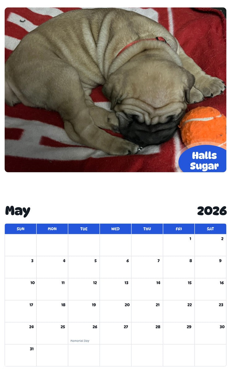 2026 - 2027 Halls Sugar - Pawidols Pet Calendar