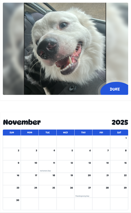 July 2025 - June 2026 Duke - Pawidols Pet Calendar