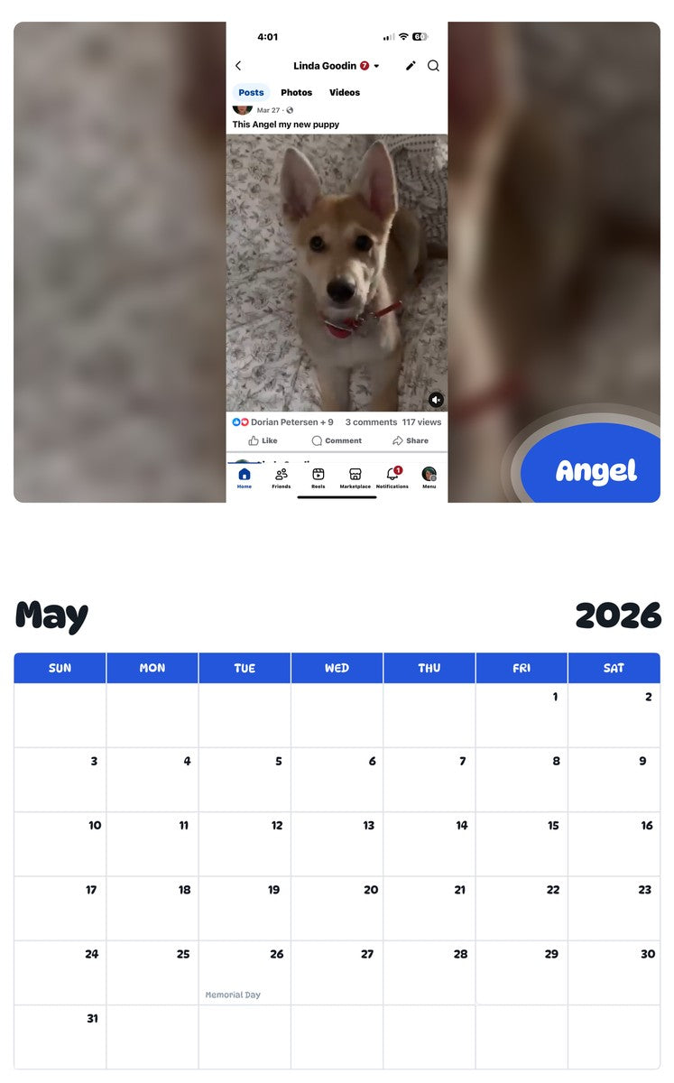 2026 - 2027 Angel - Pawidols Pet Calendar