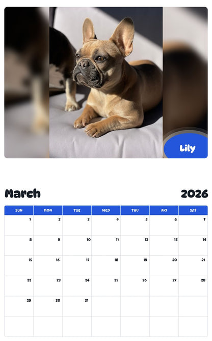 November 2025 - October 2026 Lily - Pawidols Pet Calendar
