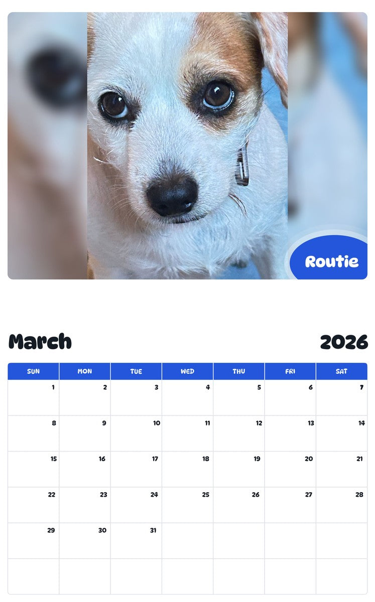 November 2025 - October 2026 Routie - Pawidols Pet Calendar