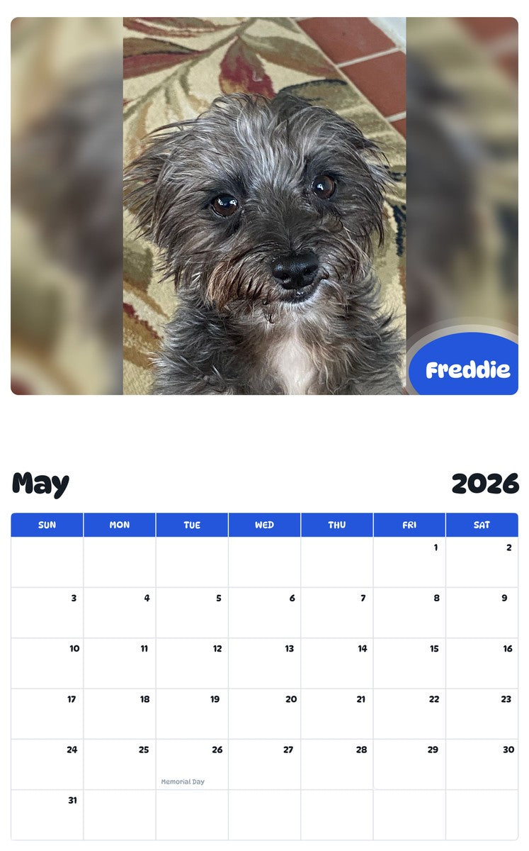 2026 - 2027 Freddie - Pawidols Pet Calendar