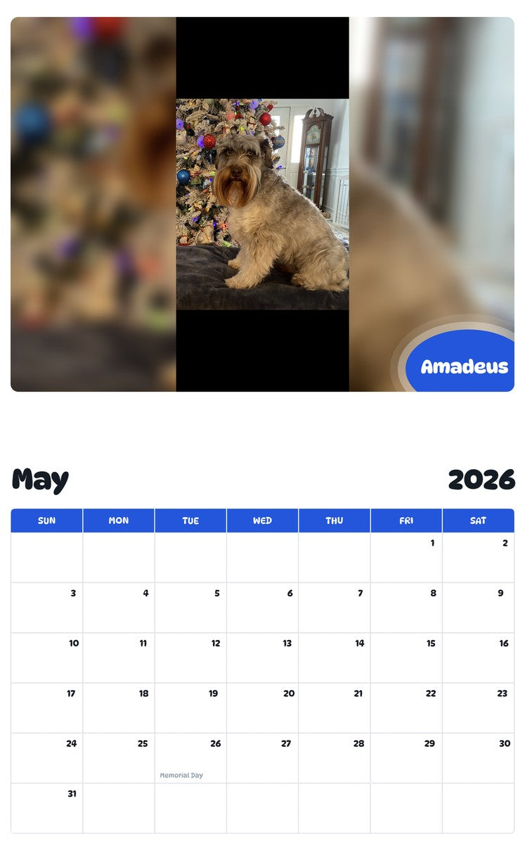 2026 - 2027 Amadeus - Pawidols Pet Calendar