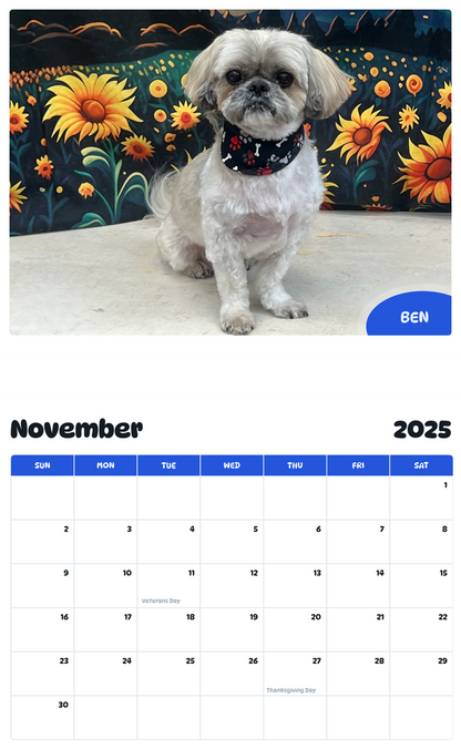 July 2025 - June 2026 Ben - Pawidols Pet Calendar