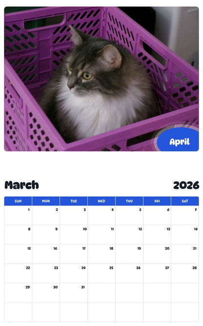 November 2025 - October 2026 April - Pawidols Pet Calendar