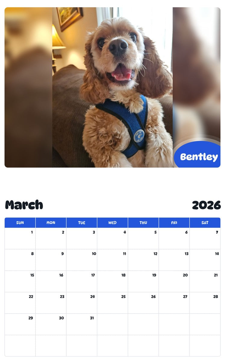 November 2025 - October 2026 Bentley - Pawidols Pet Calendar
