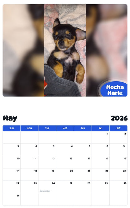 2026 - 2027 Mocha Marie - Pawidols Pet Calendar