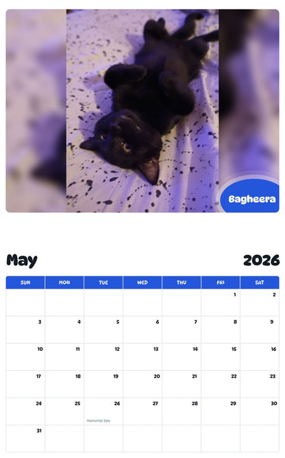2026 - 2027 Bagheera - Pawidols Pet Calendar