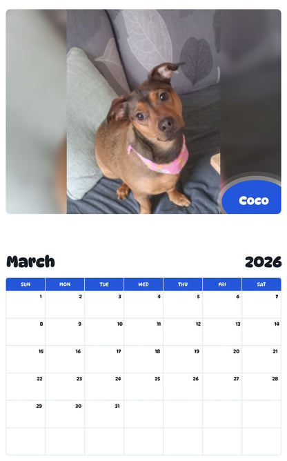 November 2025 - October 2026 Coco - Pawidols Pet Calendar
