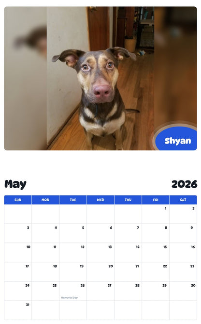 2026 - 2027 Shyan - Pawidols Pet Calendar