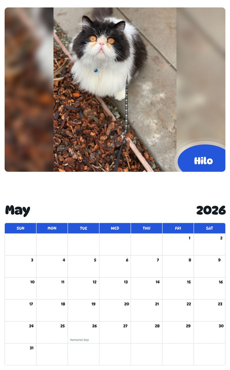 2026 - 2027 Hilo - Pawidols Pet Calendar