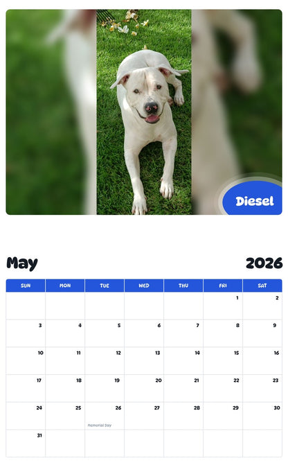 2026 - 2027 Diesel - Pawidols Pet Calendar