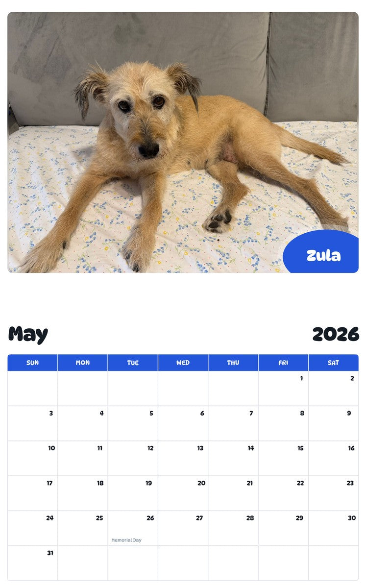 2026 - 2027 Zula - Pawidols Pet Calendar