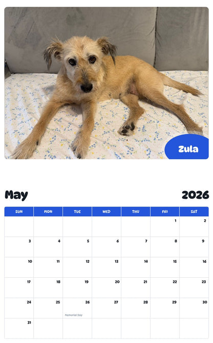 2026 - 2027 Zula - Pawidols Pet Calendar