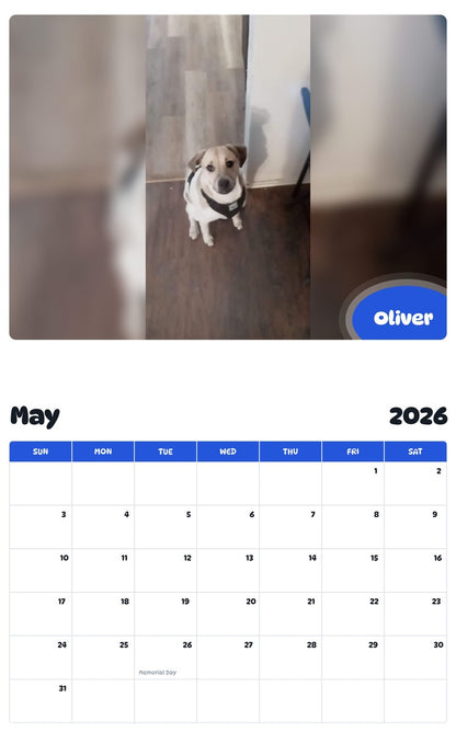 2026 - 2027 Oliver - Pawidols Pet Calendar