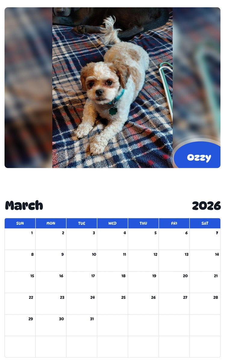 November 2025 - October 2026 Ozzy - Pawidols Pet Calendar