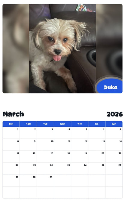 November 2025 - October 2026 Duke - Pawidols Pet Calendar