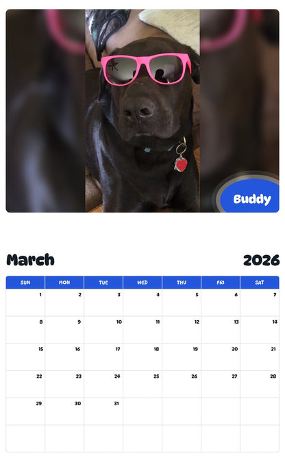 November 2025 - October 2026 Buddy - Pawidols Pet Calendar