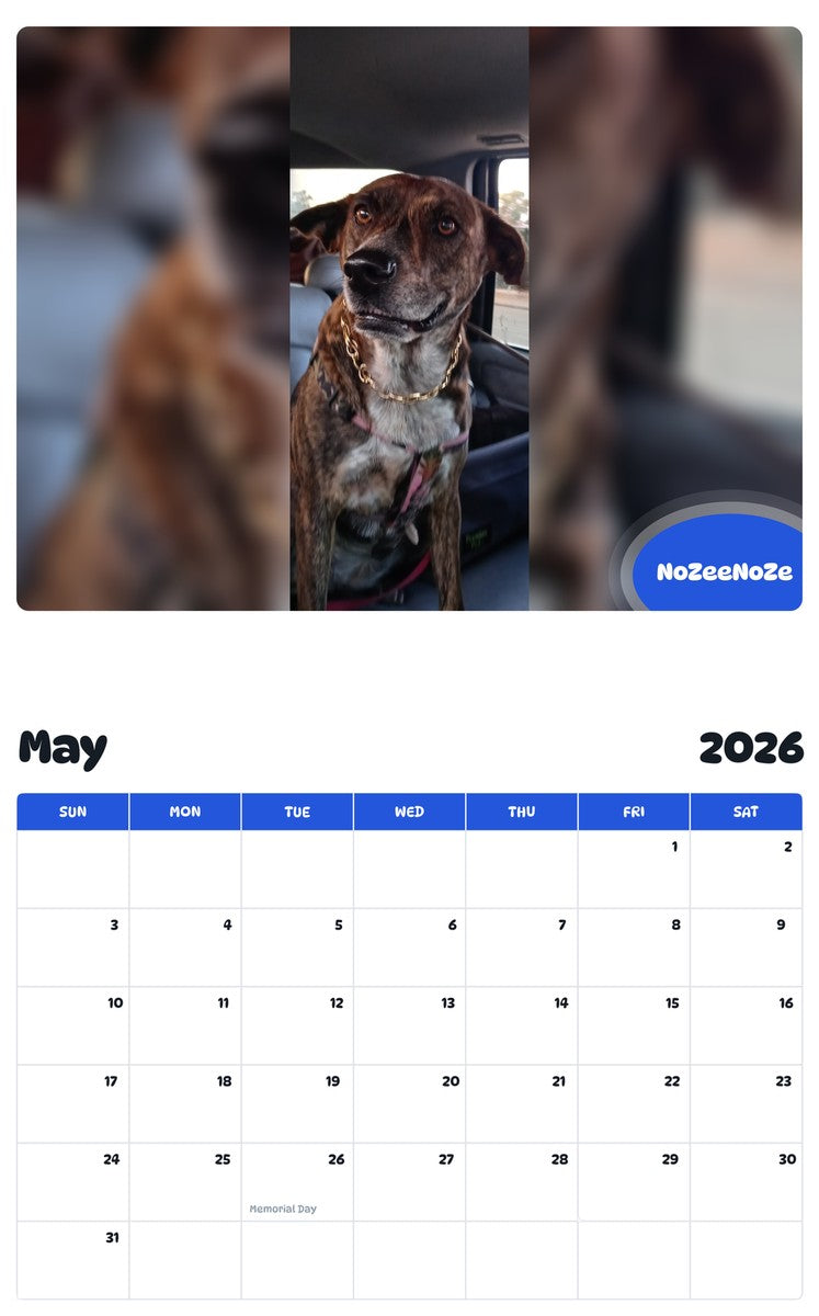 2026 - 2027 NoZeeNoZe - Pawidols Pet Calendar
