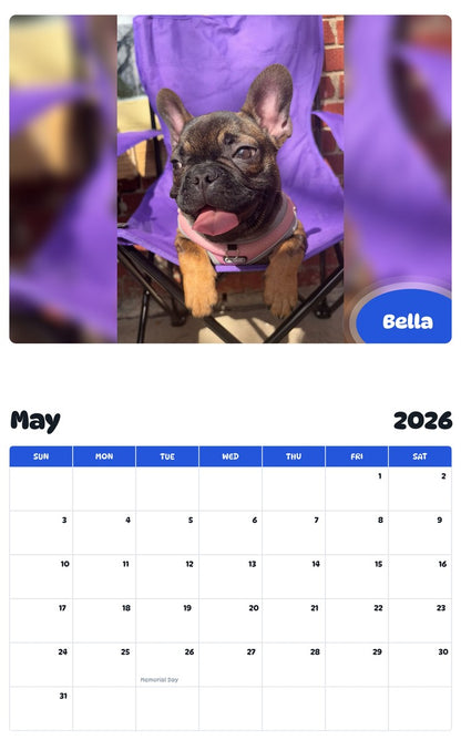 2026 - 2027 Bella - Pawidols Pet Calendar