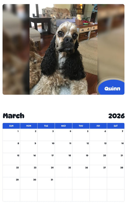 November 2025 - October 2026 Quinn - Pawidols Pet Calendar
