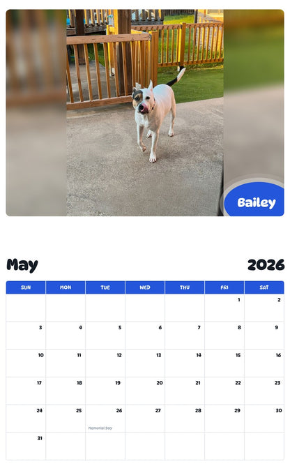 2026 - 2027 Bailey - Pawidols Pet Calendar