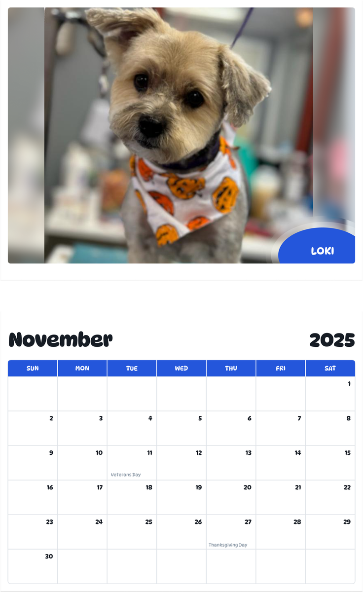 July 2025 - June 2026 Loki - Pawidols Pet Calendar