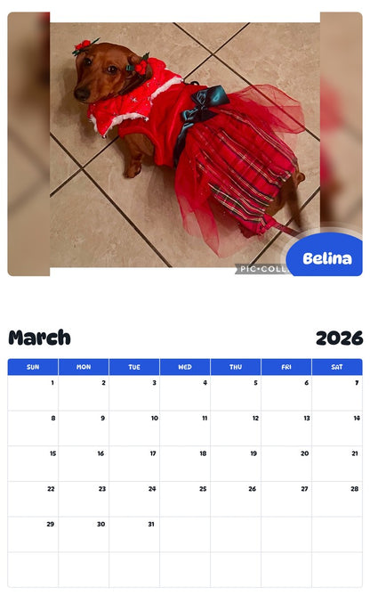 November 2025 - October 2026 Belina - Pawidols Pet Calendar