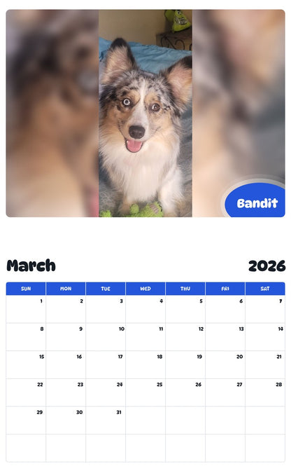 November 2025 - October 2026 Bandit - Pawidols Pet Calendar