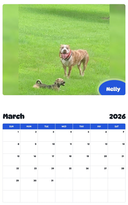 November 2025 - October 2026 Nelly - Pawidols Pet Calendar
