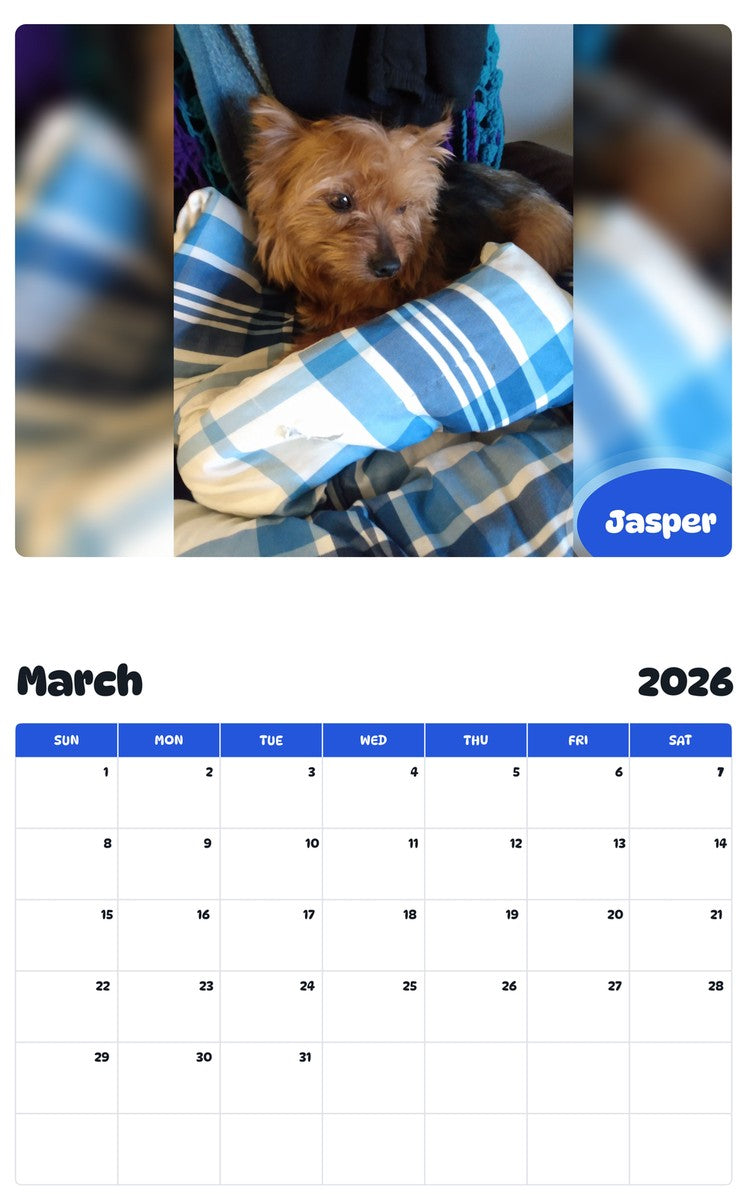 November 2025 - October 2026 Jasper - Pawidols Pet Calendar
