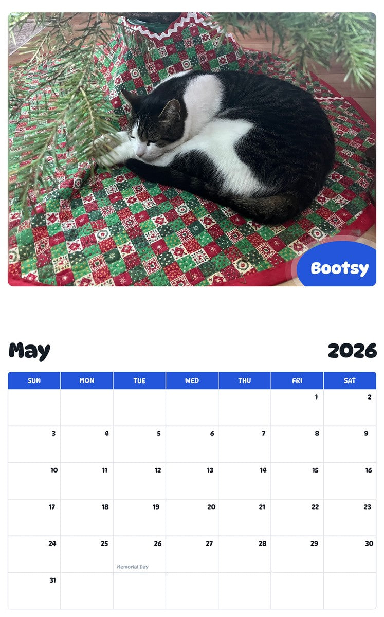 2026 - 2027 Bootsy - Pawidols Pet Calendar