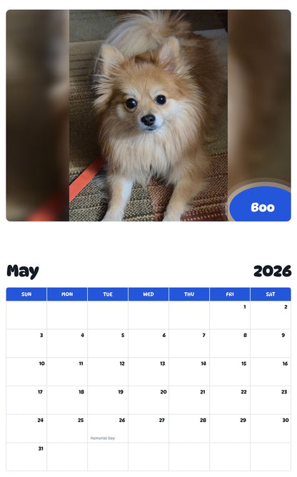 2026 - 2027 Boo - Pawidols Pet Calendar
