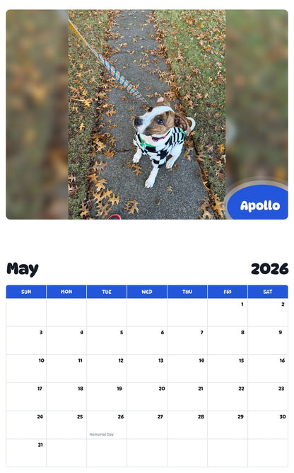 2026 - 2027 Apollo - Pawidols Pet Calendar